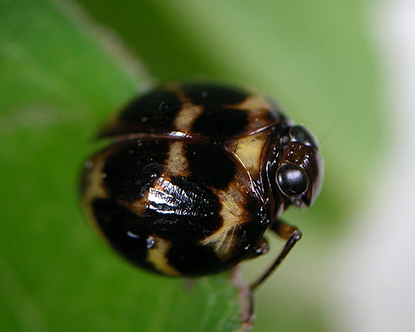 e0035757_23302548.jpg