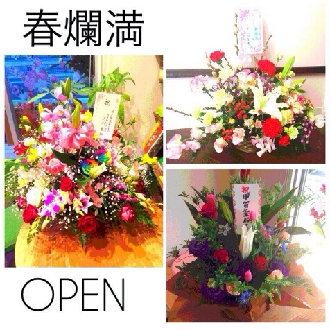 開局_b0328361_113765.jpg