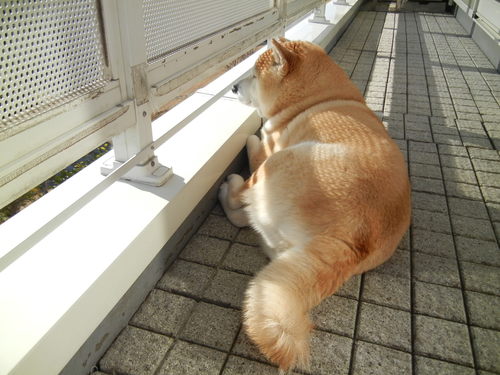 ’14,3,23(日)午後からはビュフェランチ!_f0060461_9205987.jpg