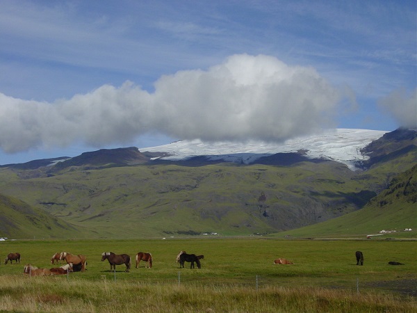 e0239565_23255348.jpg