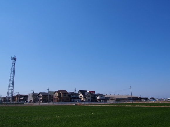 b0194267_19174680.jpg