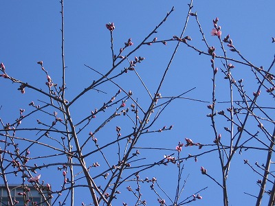 f0259373_17425576.jpg