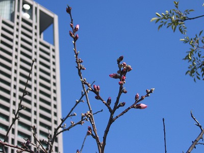 f0259373_17430800.jpg