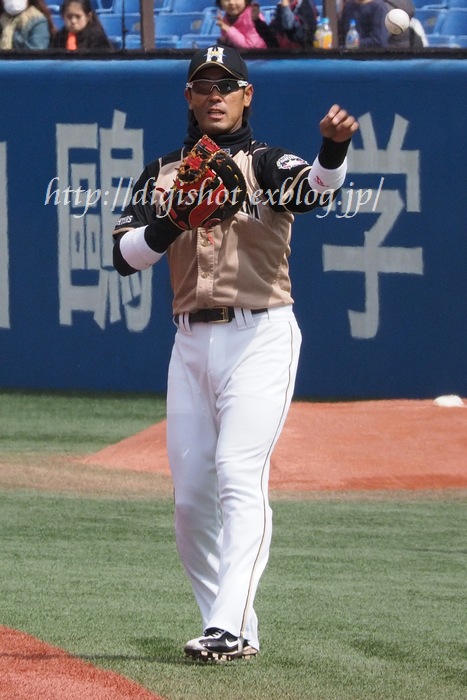 稲葉篤紀選手フォト@神宮3/21 : Out of focus ～Baseballﾌｫﾄ