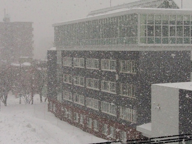 お彼岸中日過ぎでも北海道は梅でも桜でもない「牡丹」雪　０３２２_c0183777_546451.jpg