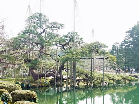 f0083977_7221530.jpg