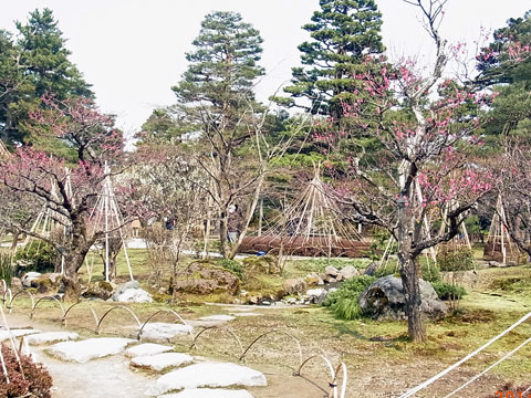 f0083977_723186.jpg