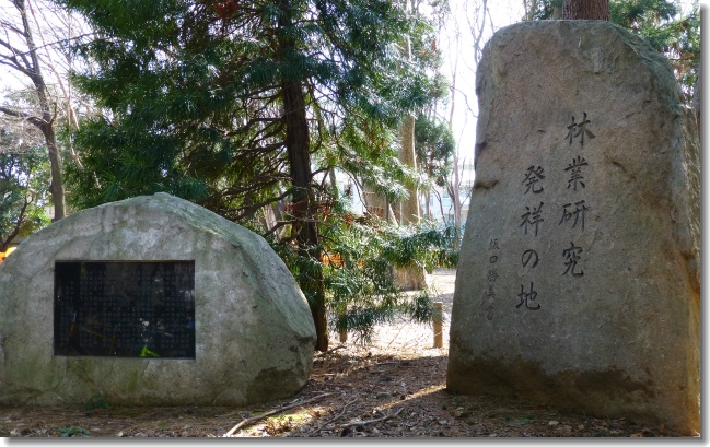 林試の森公園_d0174983_21151672.jpg