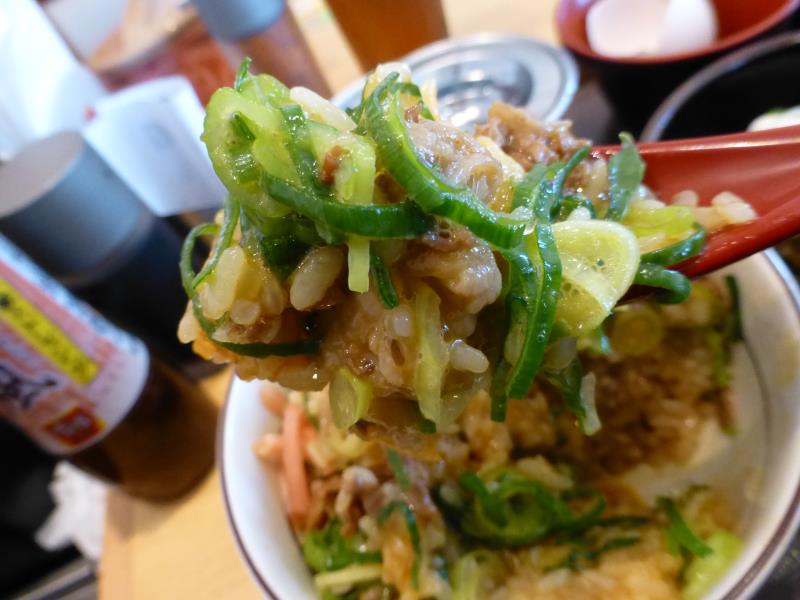 すき家のねぎ玉牛丼　　　宝塚中筋店_c0118393_1419311.jpg