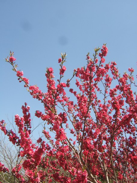 c0115596_2056238.jpg