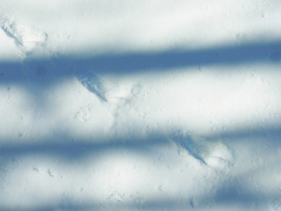 d0163696_19391026.jpg