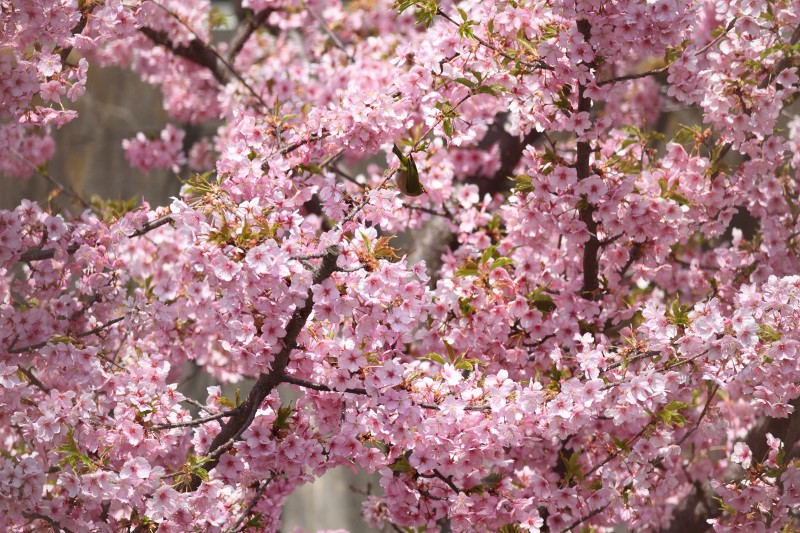 b0223198_205210.jpg