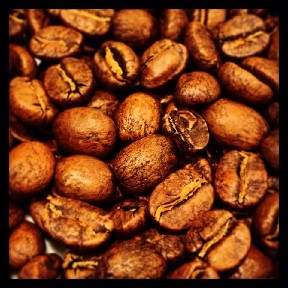 Coffee　Beans　Info_b0298801_106412.jpg