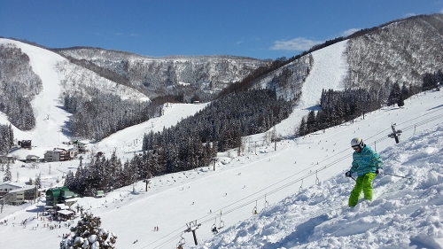 e0090501_2282596.jpg