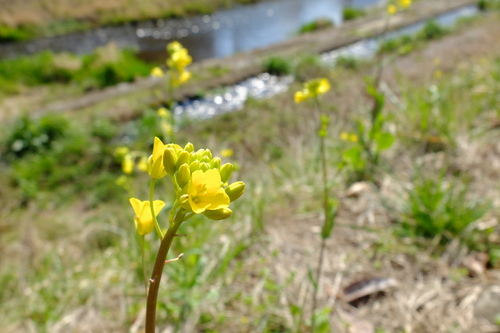 e0304001_234057.jpg