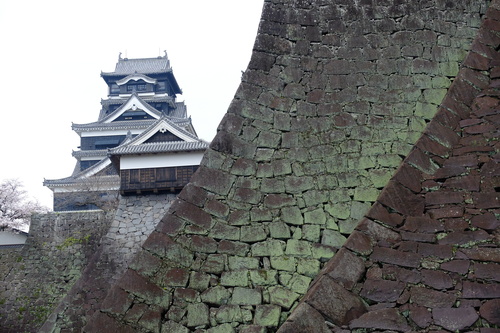 山桜が咲く熊本城_e0304001_2365218.jpg