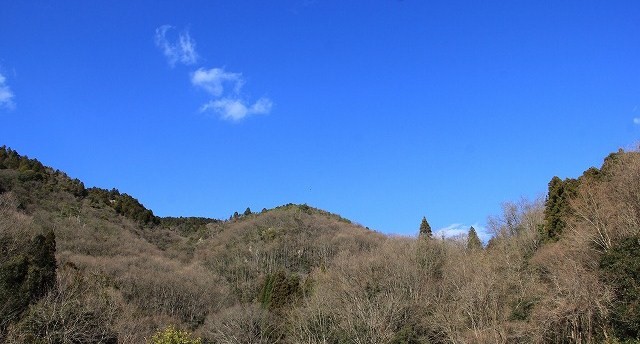 a0123003_932164.jpg