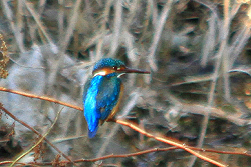 b0014607_2031399.jpg