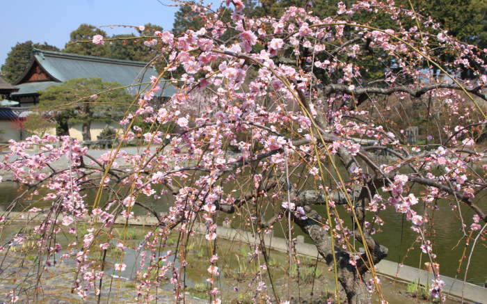 b0076010_16101594.jpg