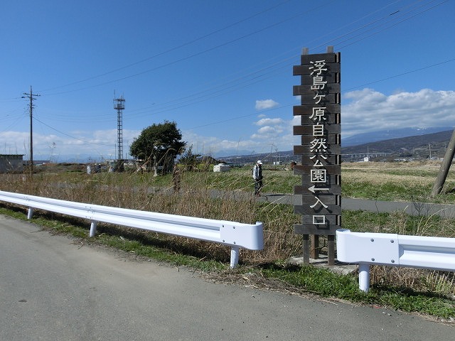 春の訪れ ラジオfで「お花見ウォーク」のプレウォーク_f0141310_7244811.jpg