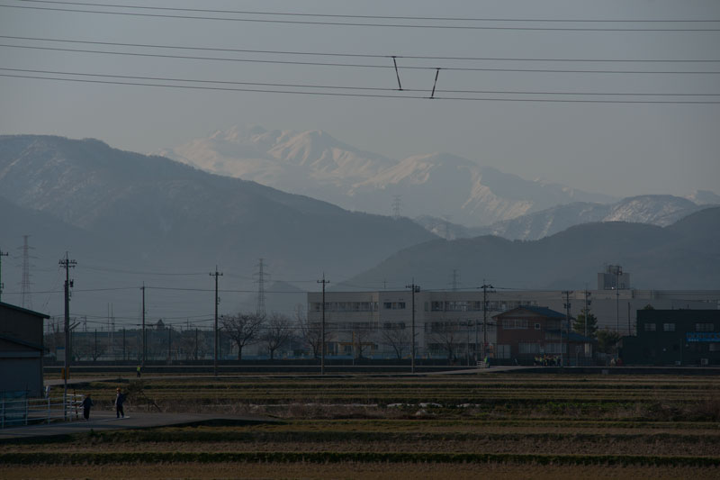a0278914_1418363.jpg