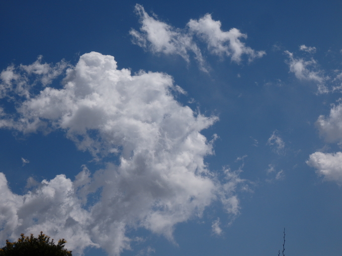 b0289815_99846.jpg