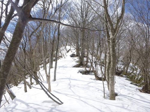 雪の　母袋烏帽子岳　(1,340.9M) に登る　　登頂 編_d0170615_10472478.jpg