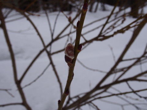 b0147224_2232899.jpg