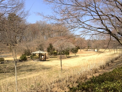 b0251624_1914397.jpg