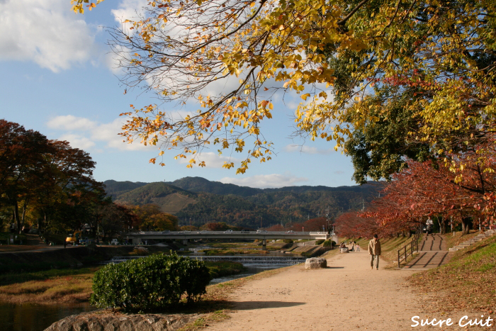 京都の紅葉 3_c0127227_1149081.jpg