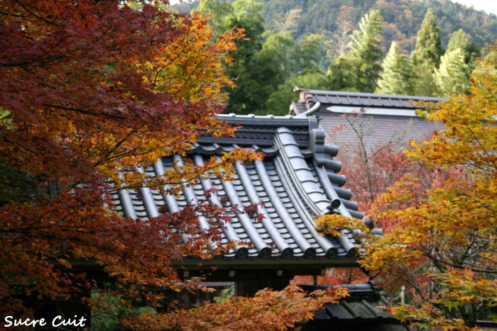 京都の紅葉 4_c0127227_11495799.jpg