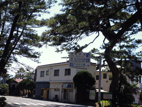海もいいね~!! 沼津⇐ライド!_f0304030_22362770.jpg