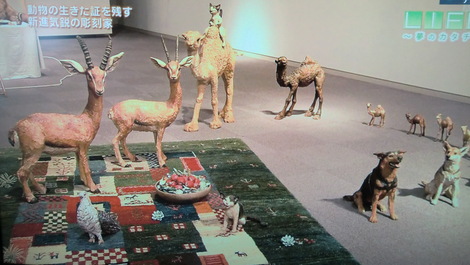 c0236632_8262167.jpg