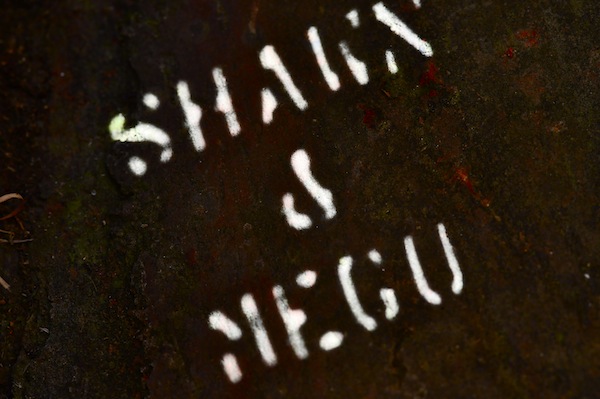 b0172633_204956100.jpg