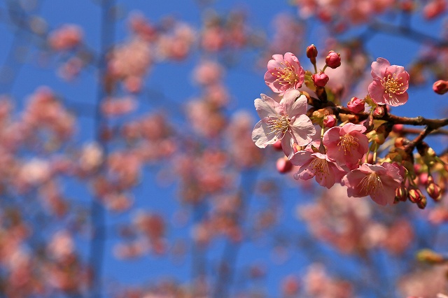 a0242438_21122331.jpg