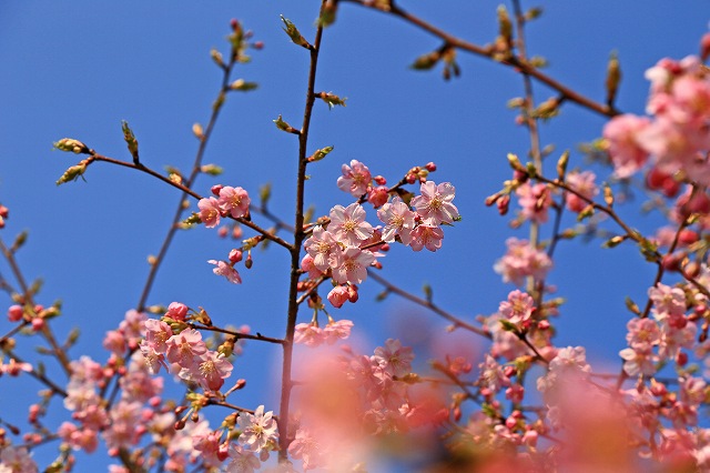 a0242438_21122760.jpg