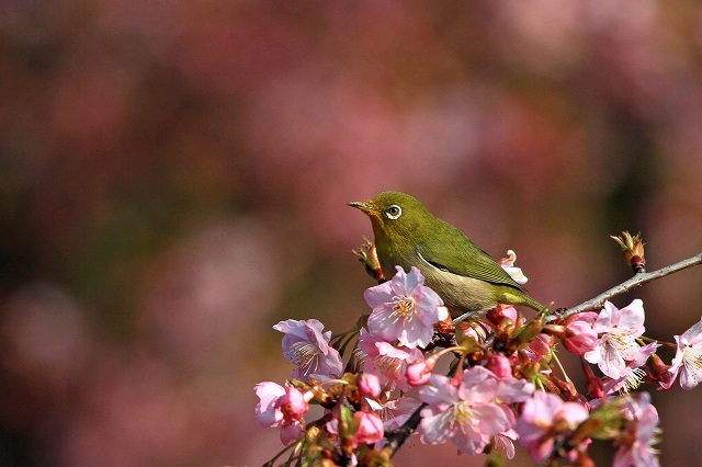a0242438_2113138.jpg