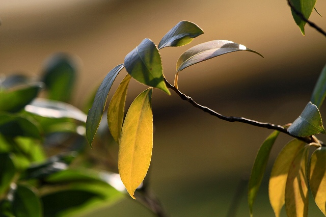 a0242438_21163376.jpg