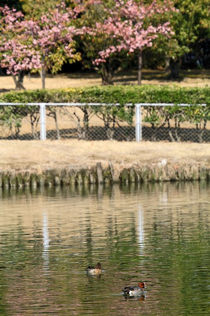 a0242438_2116766.jpg