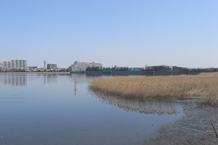 c0022340_2325258.jpg