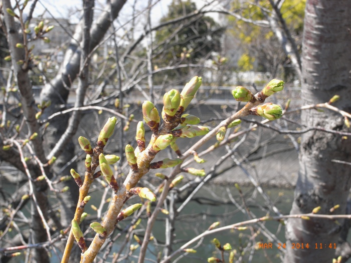 c0022340_23253447.jpg