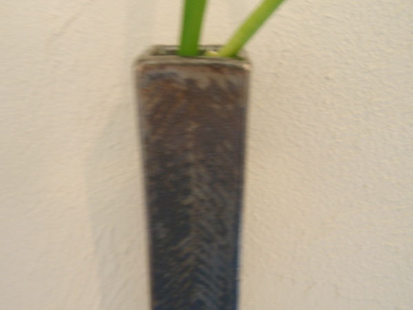 b0132442_15235661.jpg