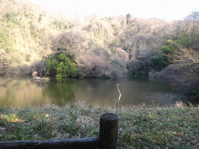 お墓参り+ハイキング_e0195743_1523058.jpg