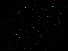 e0005548_253354.gif