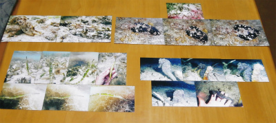 c0180460_1151464.jpg
