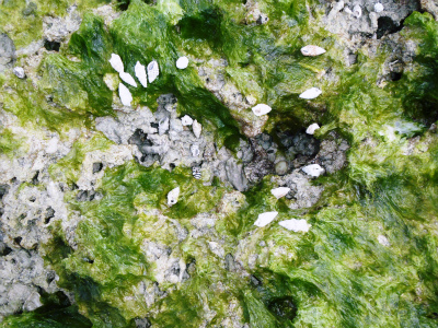 c0180460_15173750.jpg