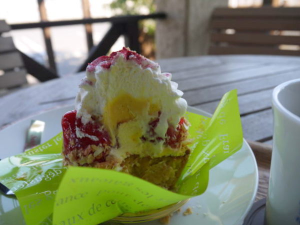 柏の葉公園の桜とサフランお菓子の森のあまおうタルト あんこがゆく 柏の葉公園の桜とサフランお菓子の森のあまおうタルト あんこがゆく