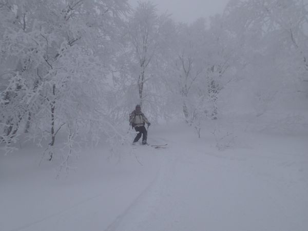 どっぷりテレマーク病に侵されて☆深雪のツアー三連ちゃん_c0321967_19593586.jpg