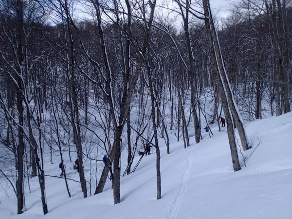 c0321967_2001427.jpg