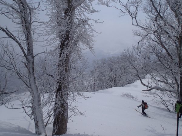 どっぷりテレマーク病に侵されて☆深雪のツアー三連ちゃん_c0321967_20091.jpg